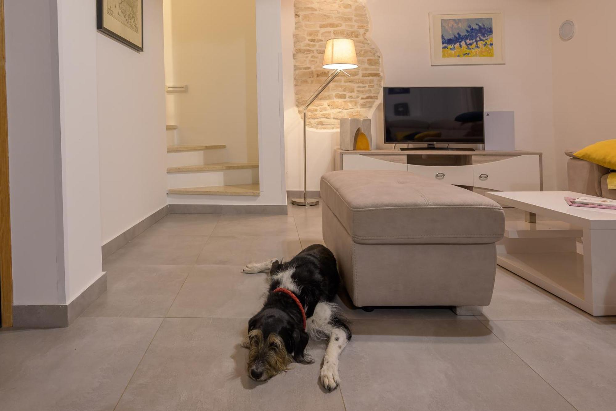 Villa Azinetti Štokovci Dış mekan fotoğraf